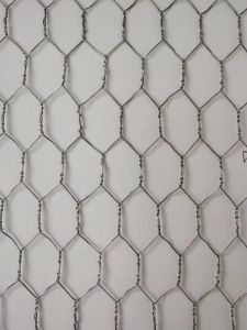 Galvanized hexagonal mesh specification&PVC Coated Hexagonal mesh specification